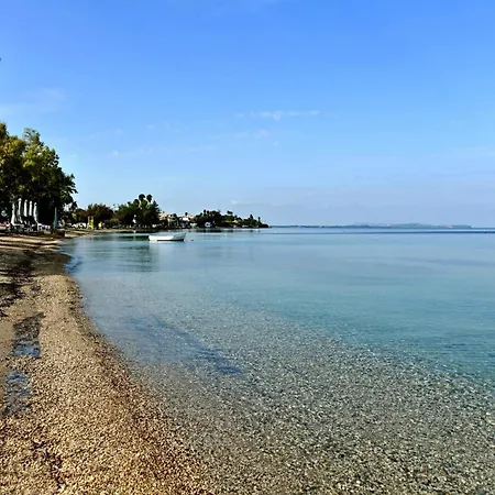 Patra's Sea Front